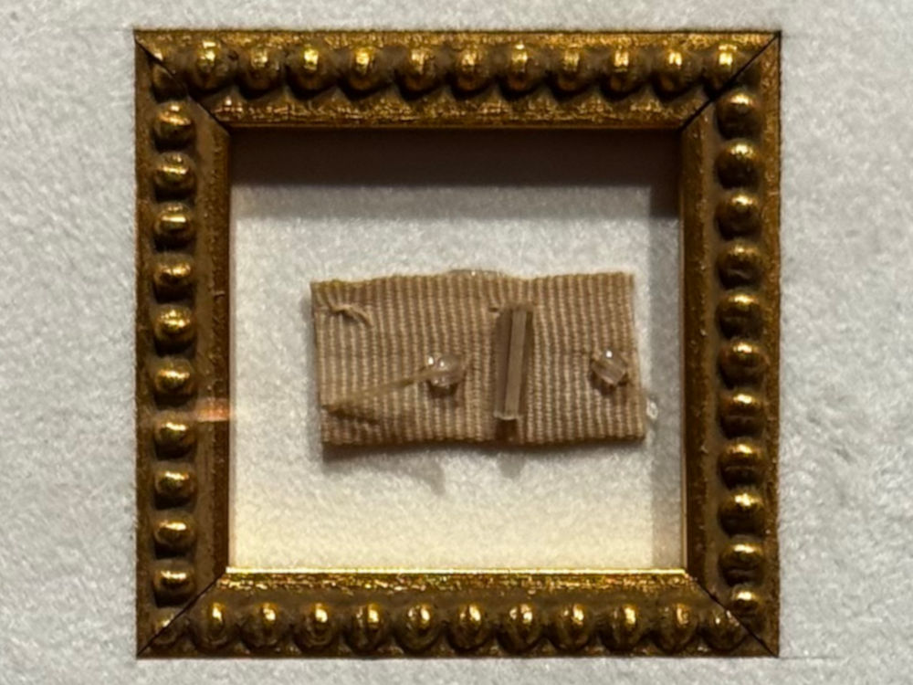 Ripley's Marilyn Monroe Costume Dress Piece