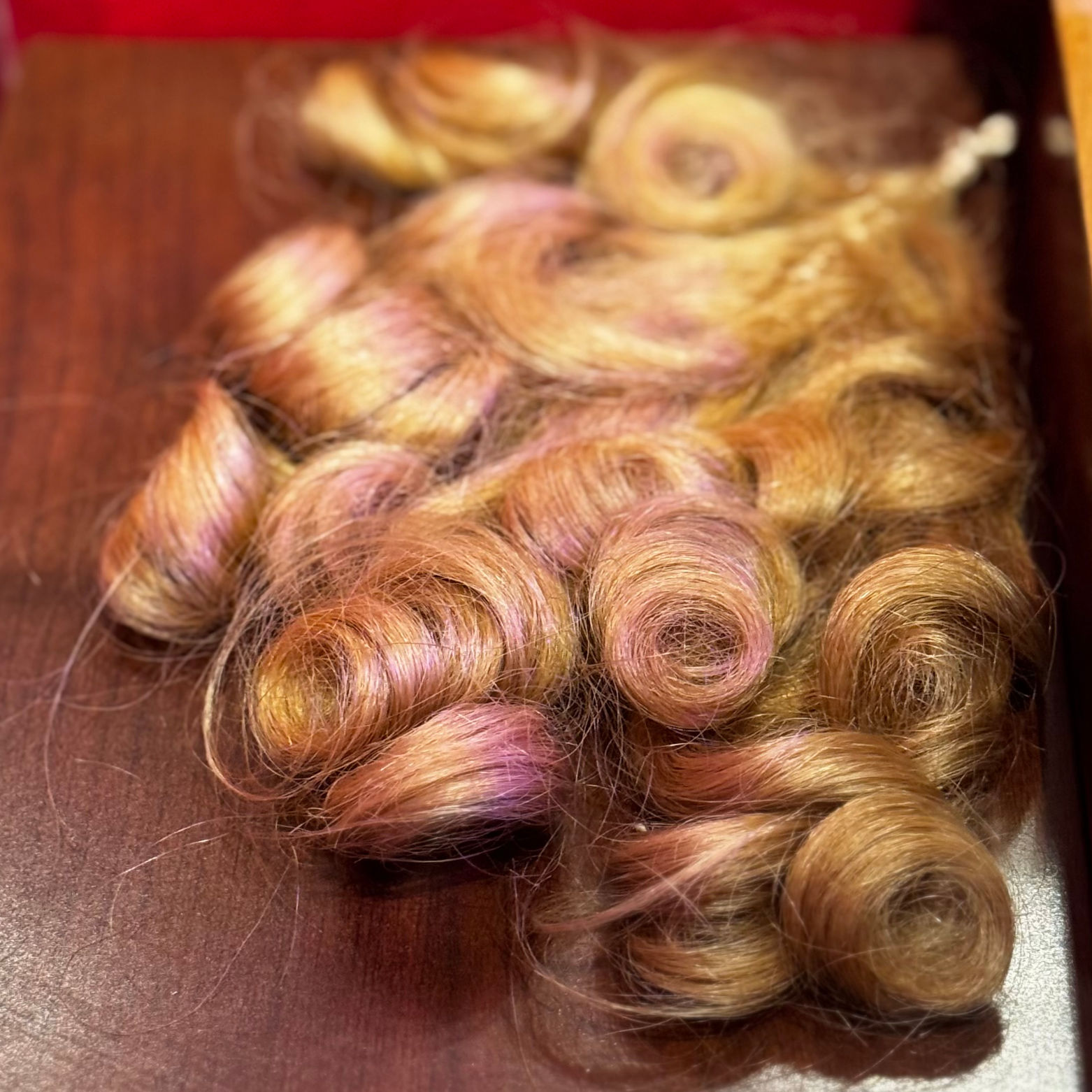 Ripley's Mary Pickford Lock of Hair