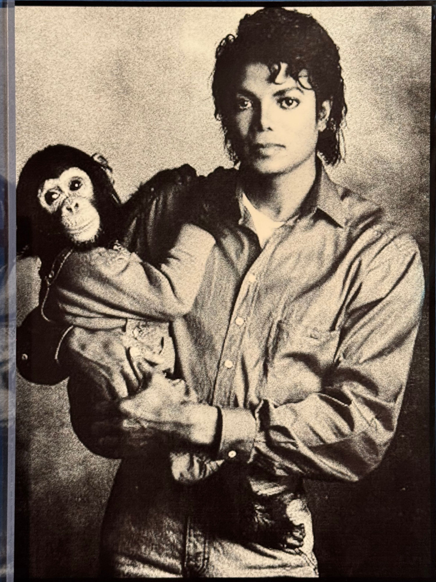 Ripley's Michael Jackson's Bubbles the Chimp