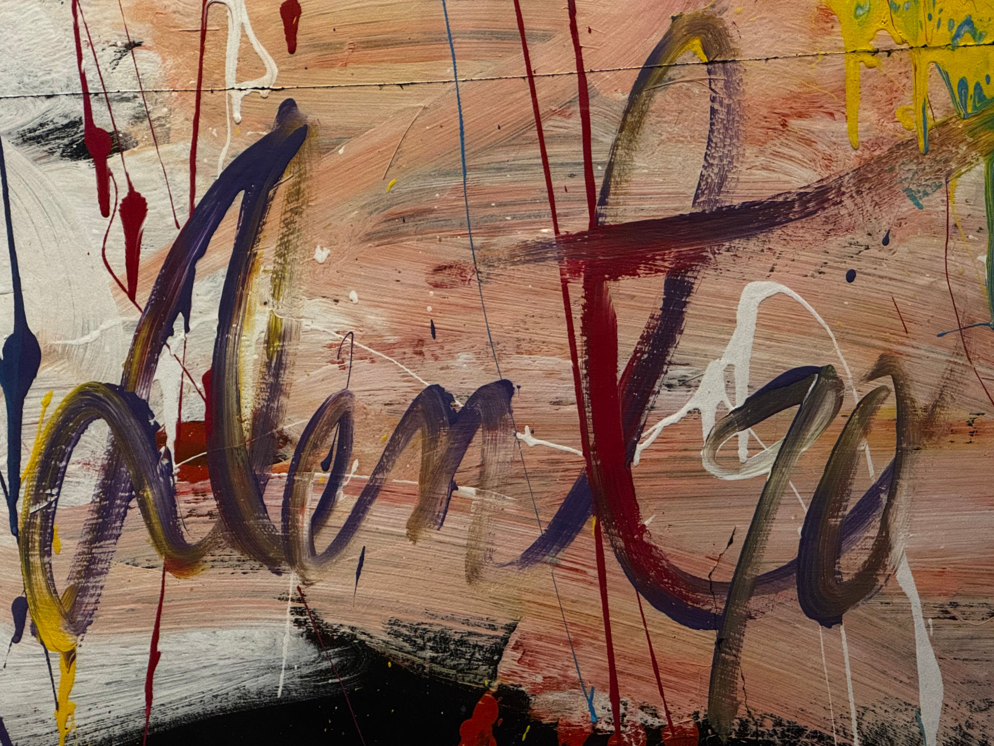 Ripley's Paint Portrait Jimi Hendrix Denny Dent