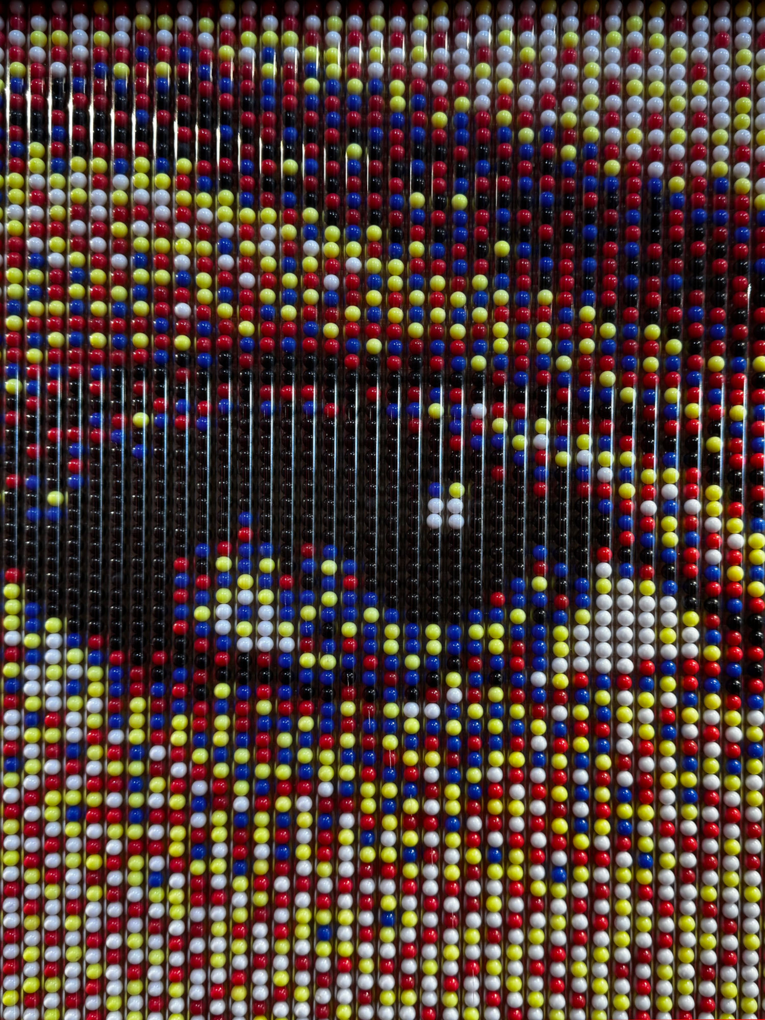 Ripley's Portrait Angelina Jolie Close-Up