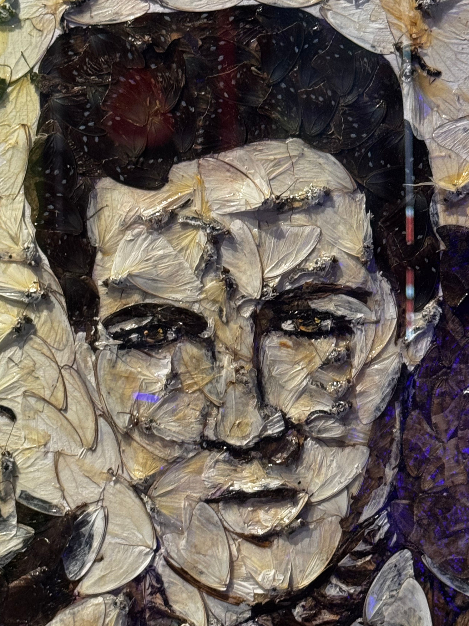 Ripley's Portraits Elvis Presley Close-Up