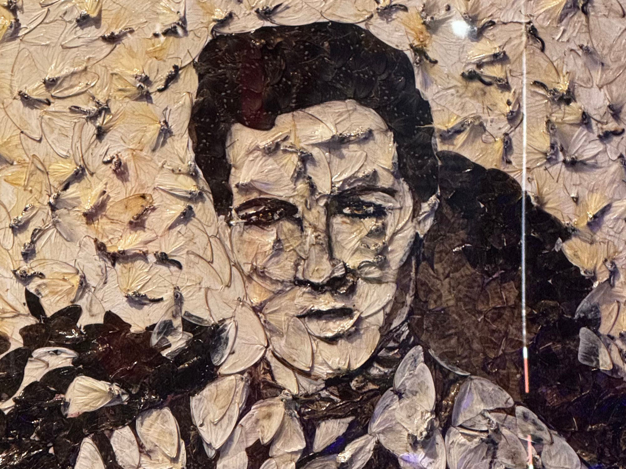 Ripley's Portraits Elvis Presley