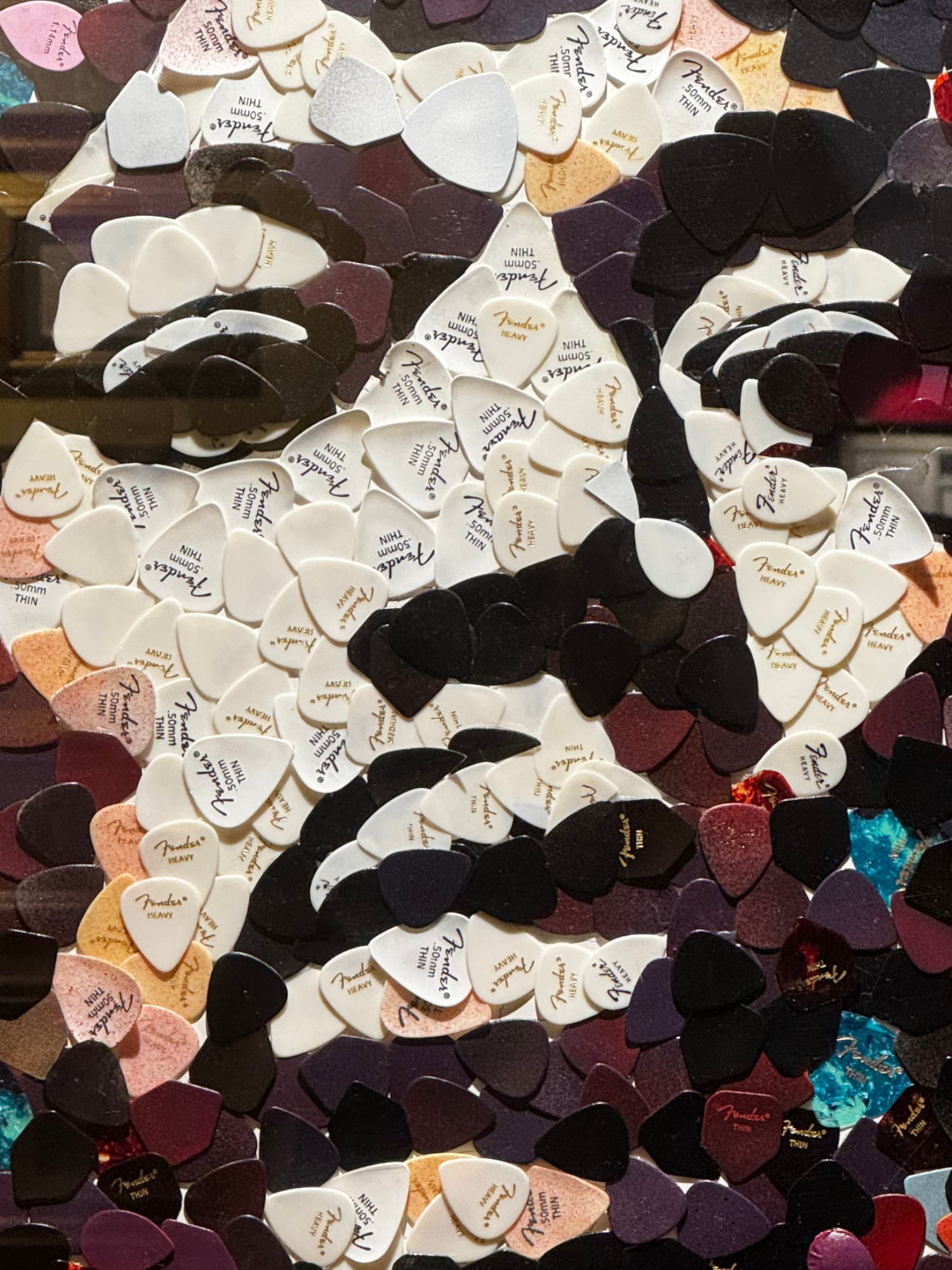 Ripley's Portraits Jimi Hendrix Picks Close-Up