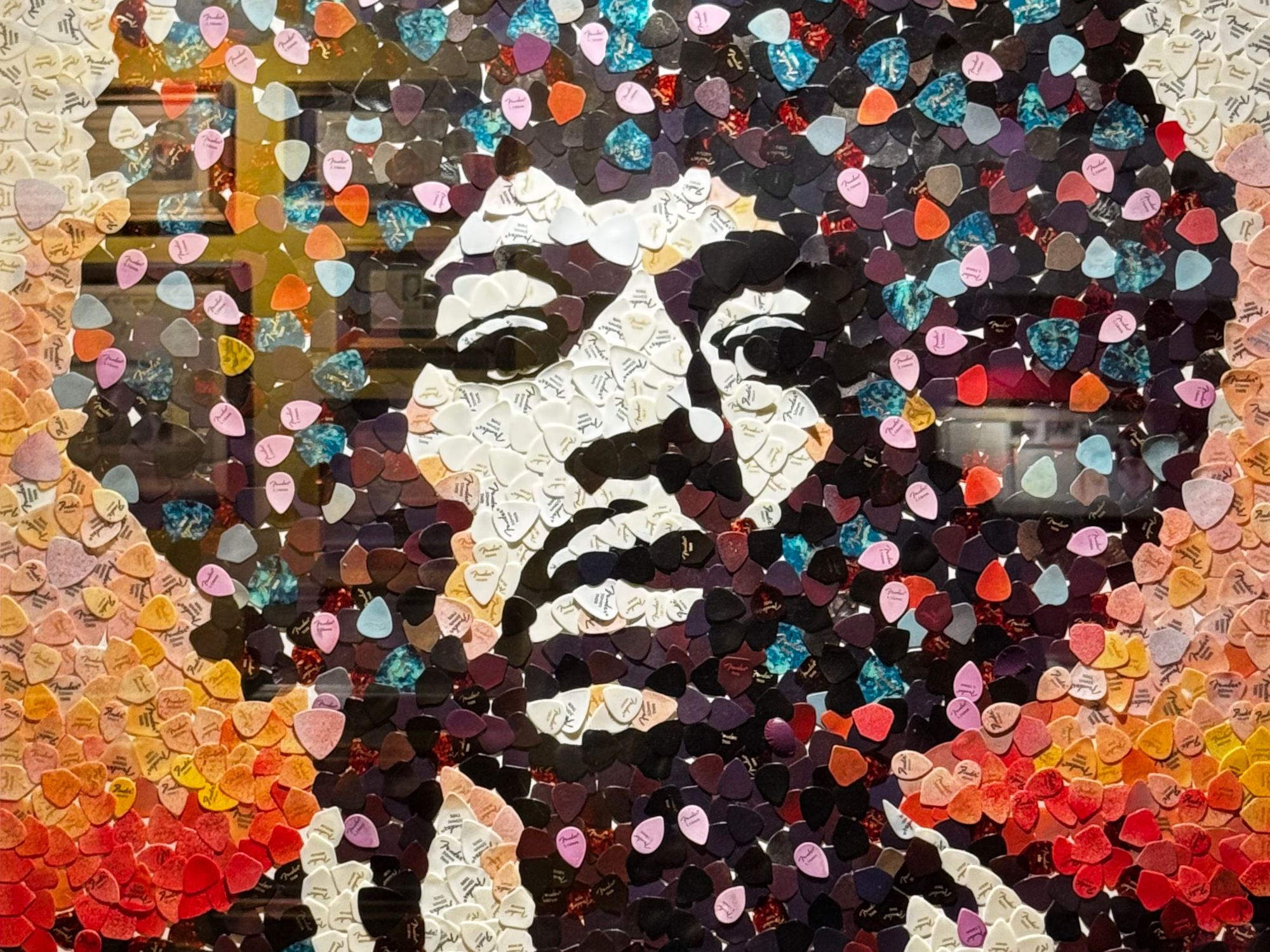 Ripley's Portraits Jimi Hendrix