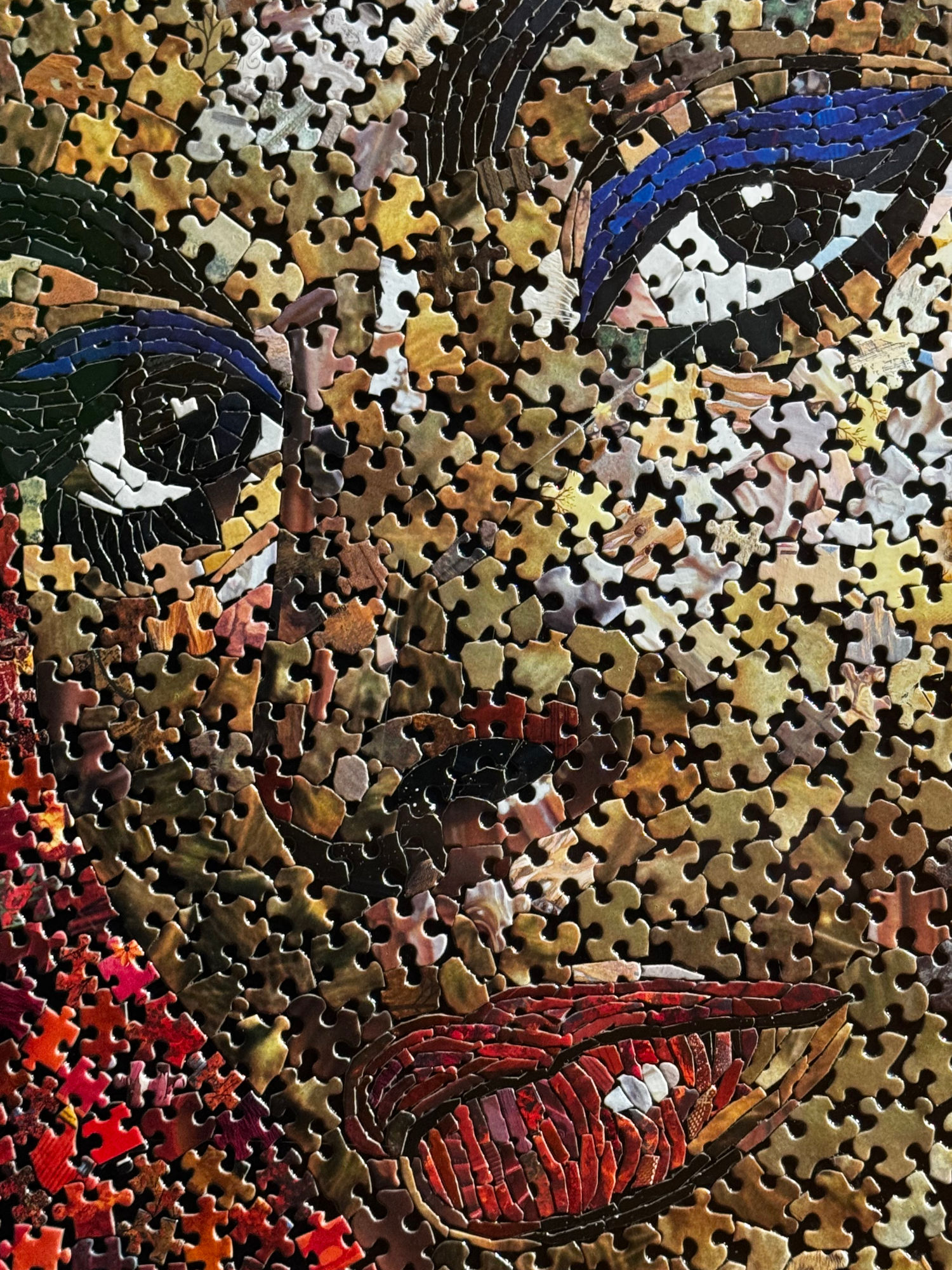 Ripley's Puzzle Sophia Loren Close-Up