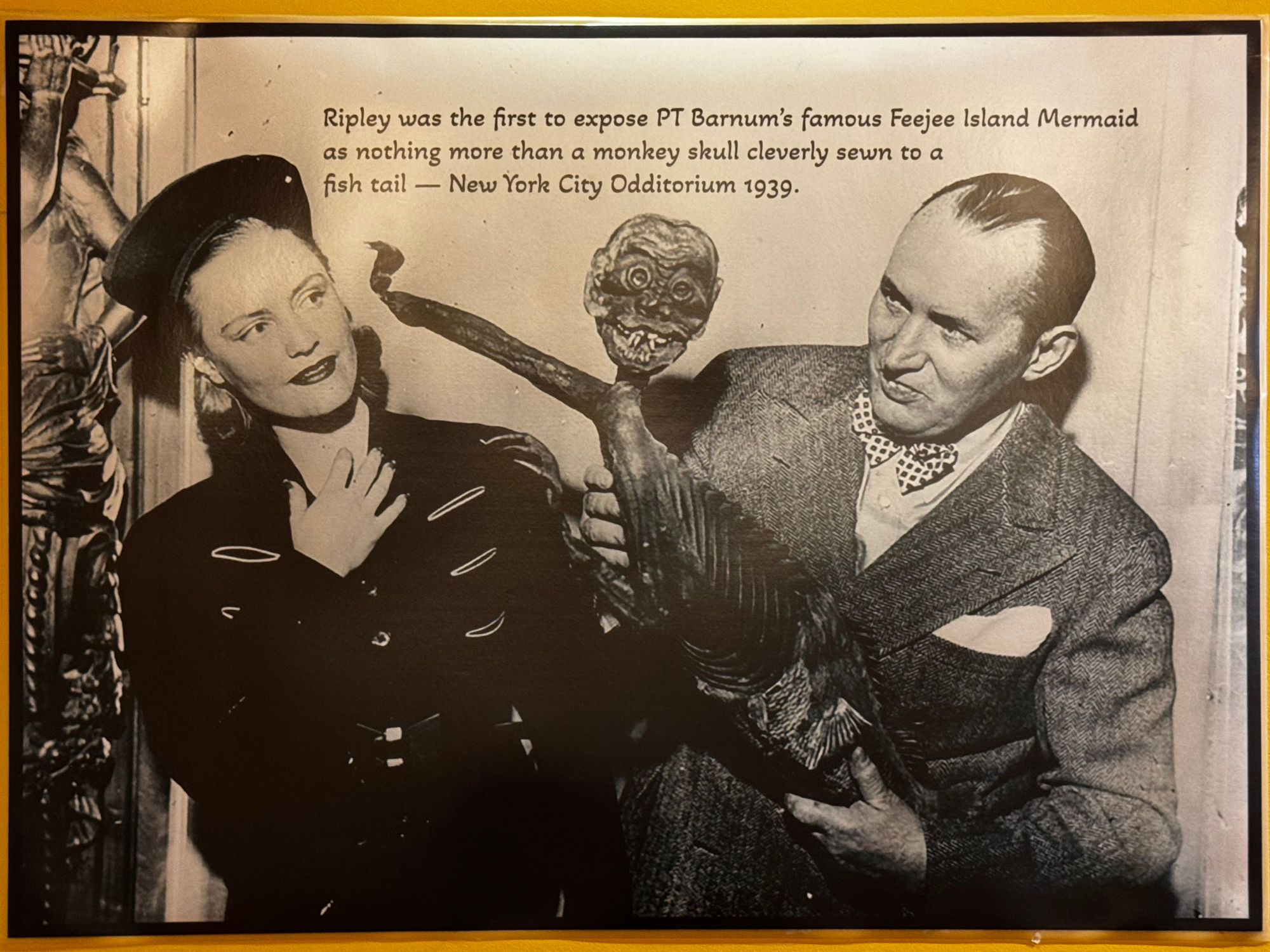 Ripley's Robert Ripley Feejee Island Mermaid