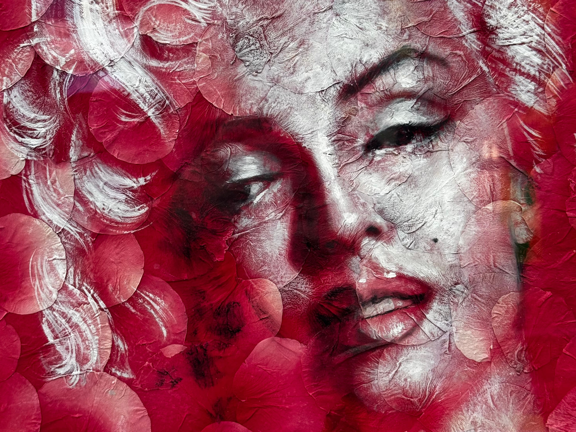 Ripley's Rose Portrait Marilyn Monroe