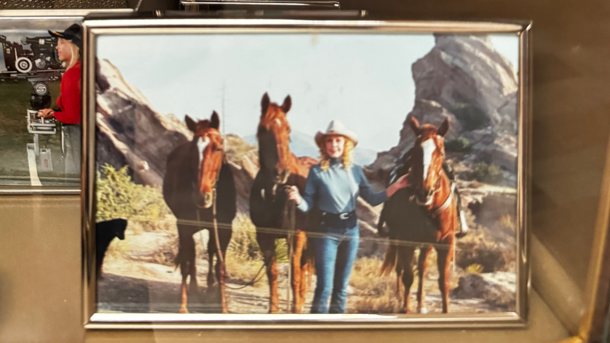 Stella Stevens With Horses