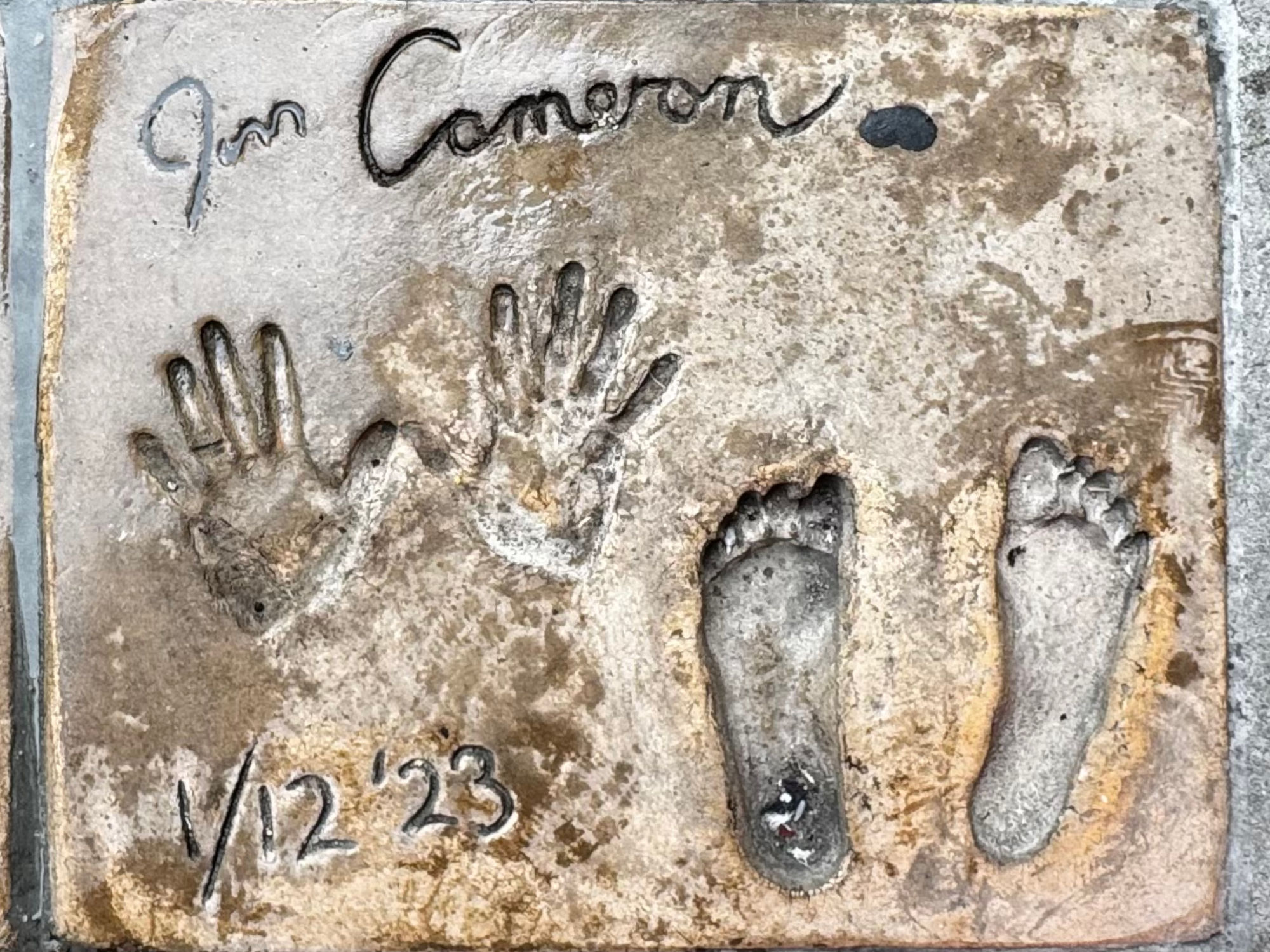 TCL Chinese Theatre James Cameron