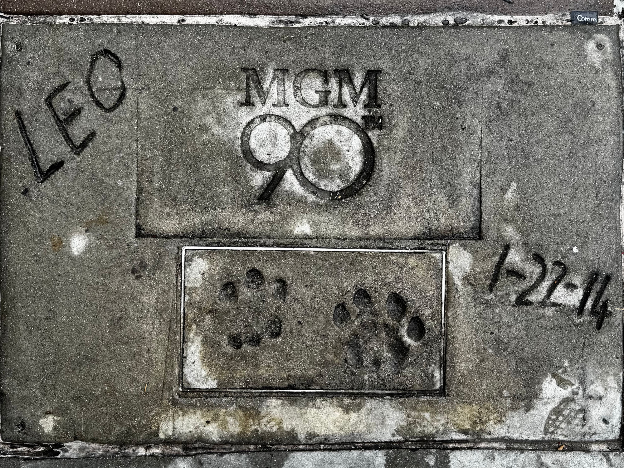 TCL Chinese Theatre Leo the Lion