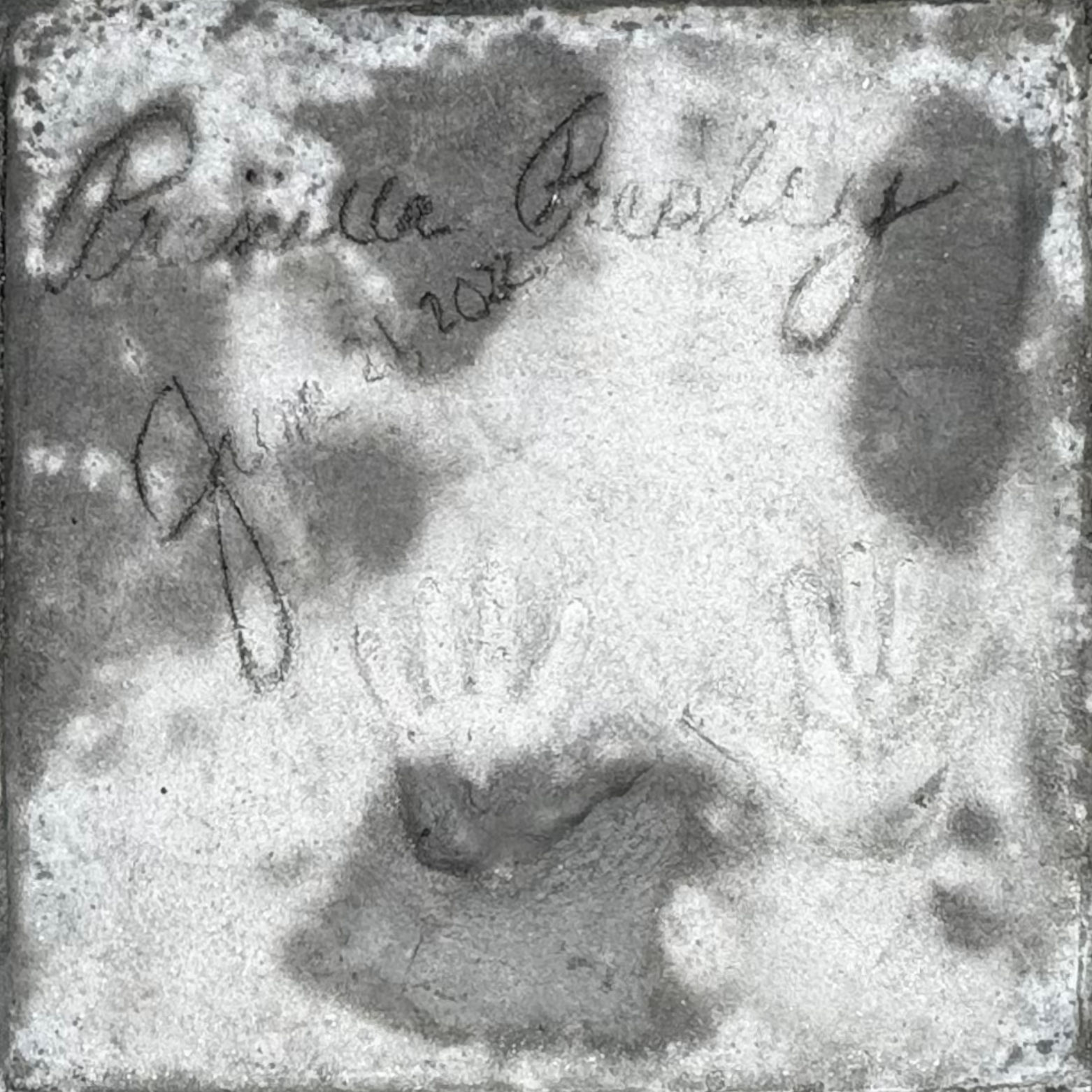 TCL Chinese Theatre Priscilla Presley
