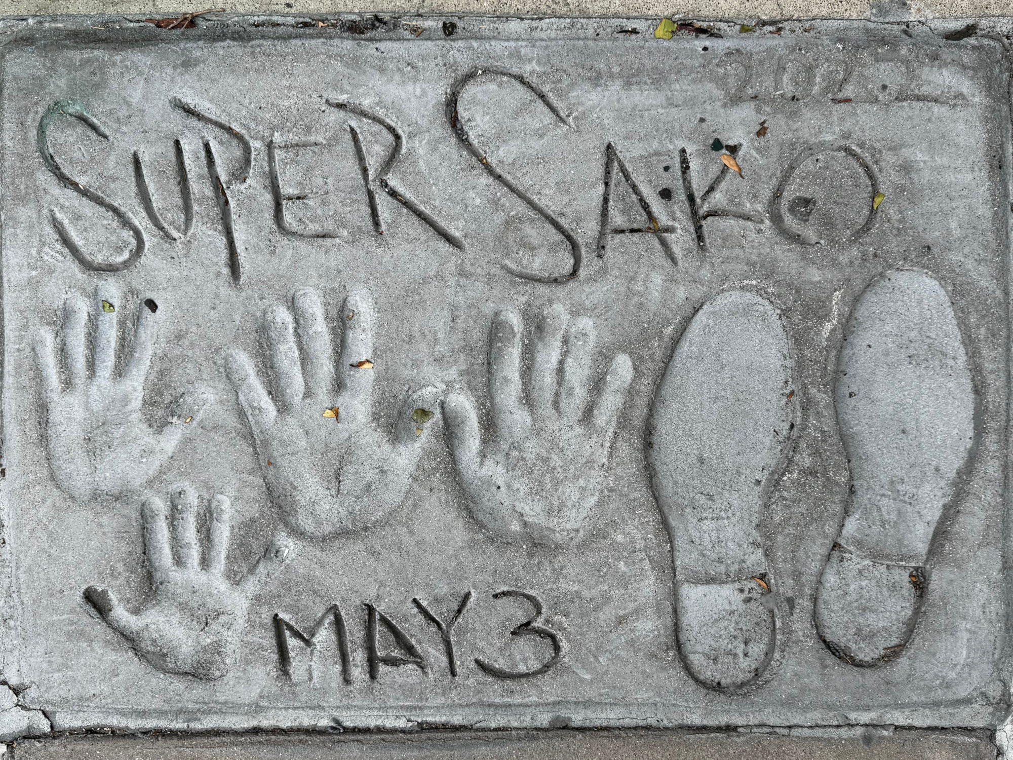 TCL Chinese Theatre Super Sako
