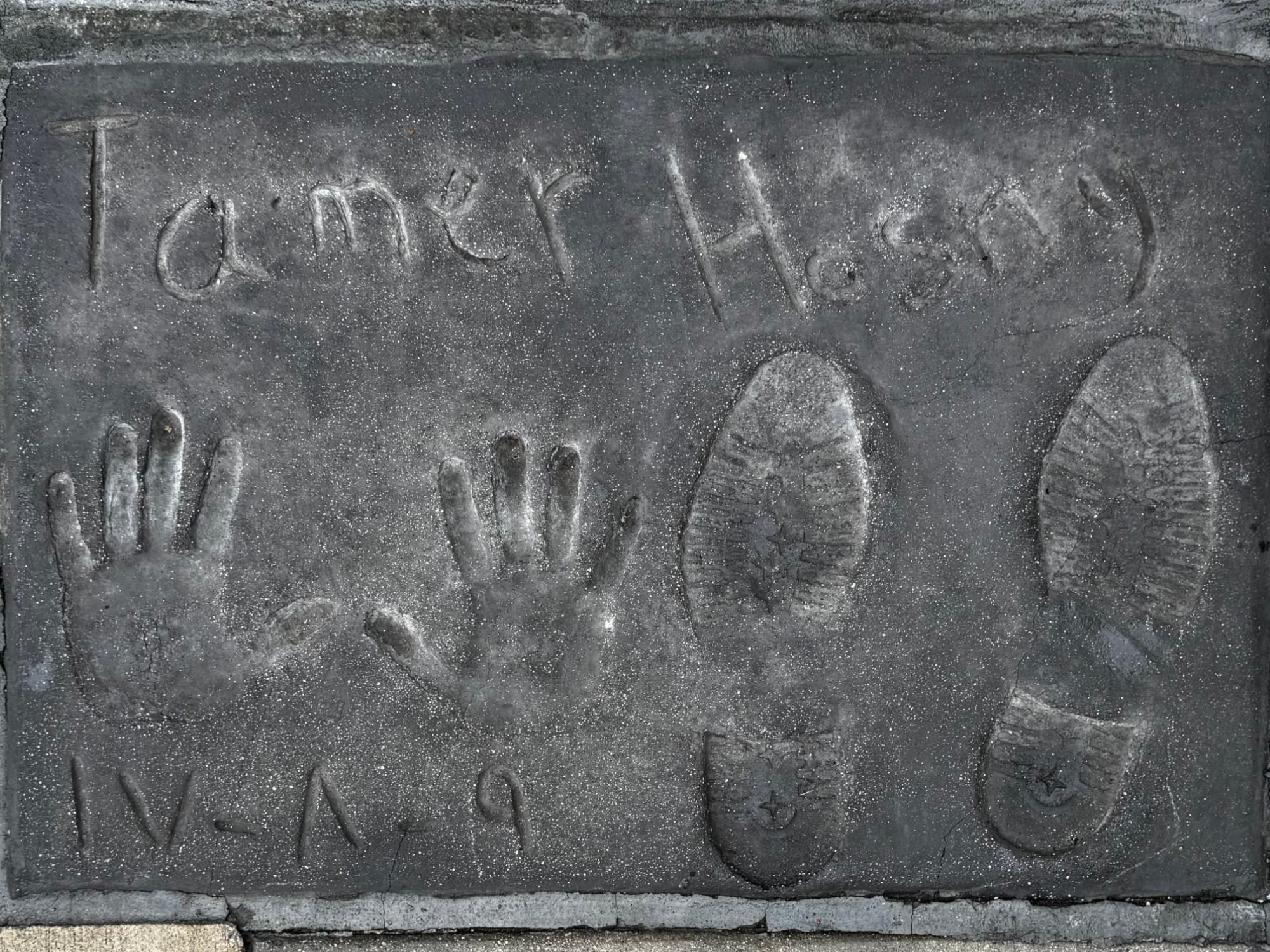 TCL Chinese Theatre Tamer Hosny