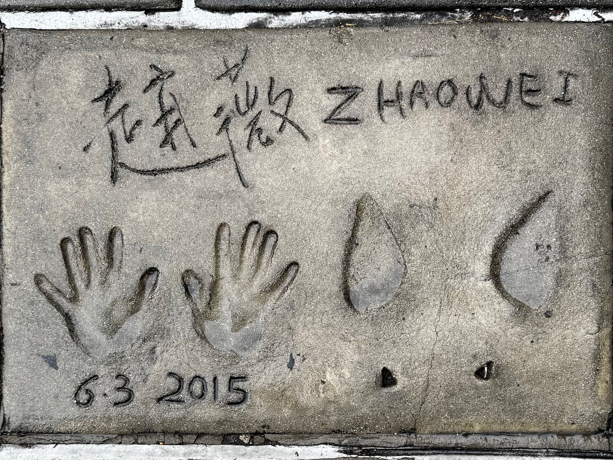TCL Chinese Theatre Wei Zhao