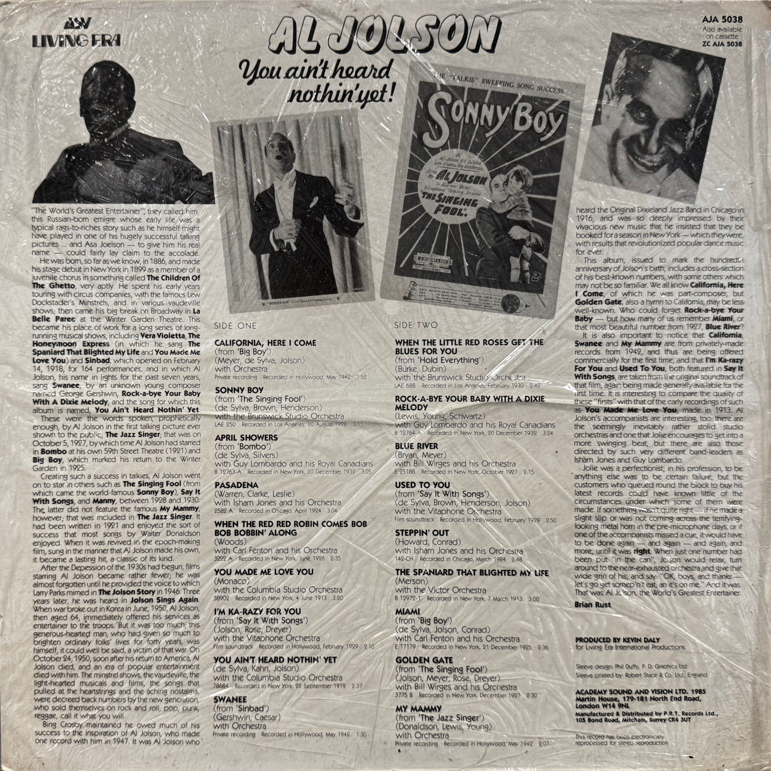 Vinyl Al Jolson You Ain't Heard Nothin' Yet!