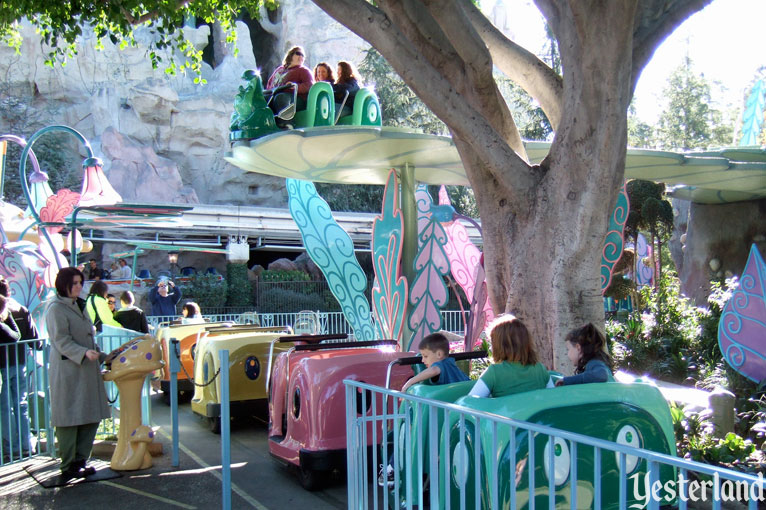 Alice in Wonderland Boarding