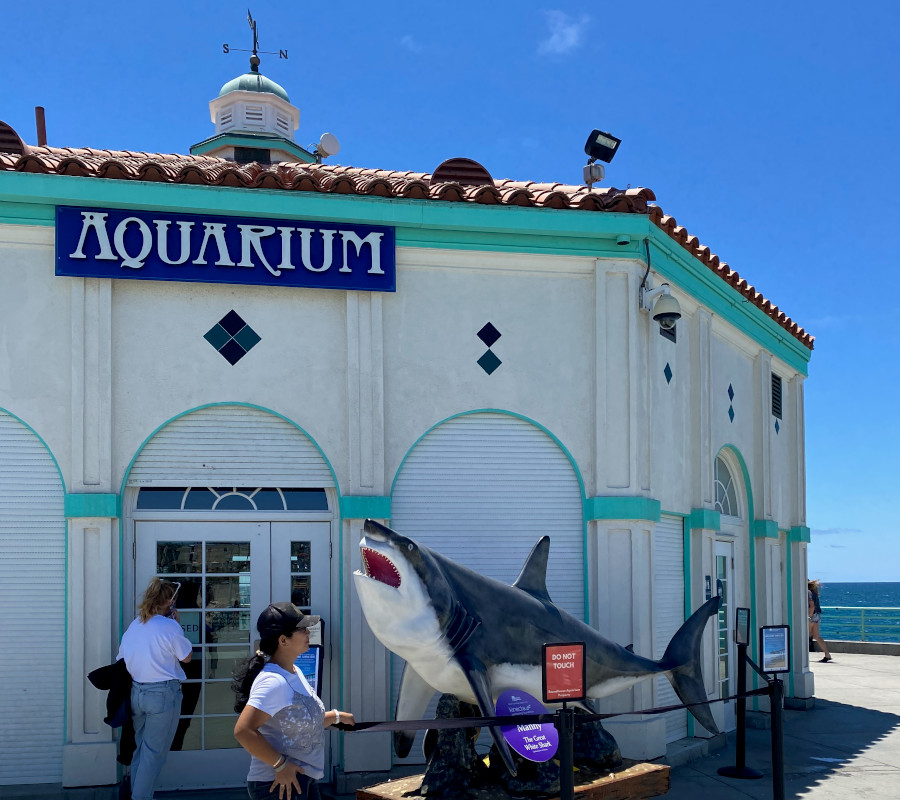 Manhattan Beach Pier