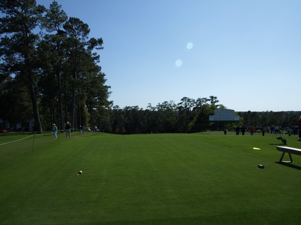 Augusta National Golf Club Hole #10 Camellia