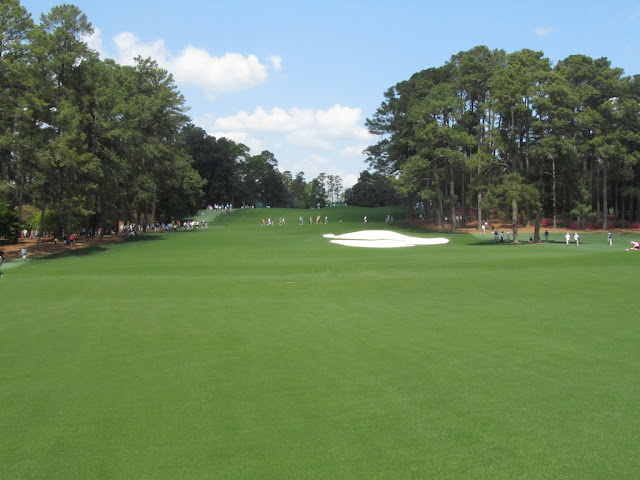 Augusta National Golf Club Hole #1 Tea Olive
