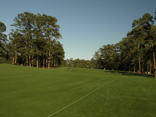 Augusta National Golf Club Hole #14 Chinese Fir