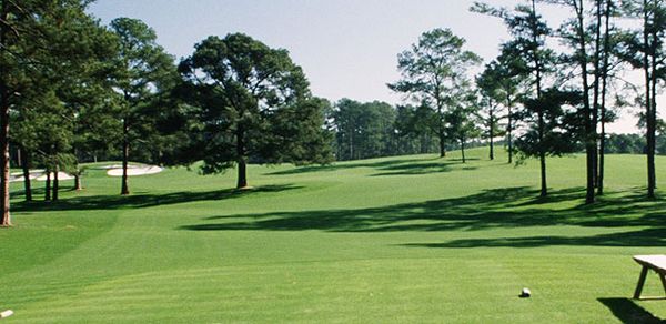 Augusta National Golf Club Hole #17 Nandina