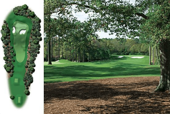 Augusta National Golf Club Hole #4 Flowering Crab Apple