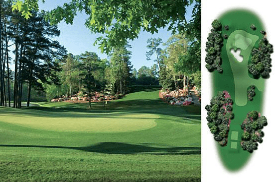 Augusta National Golf Club Hole #6 Juniper