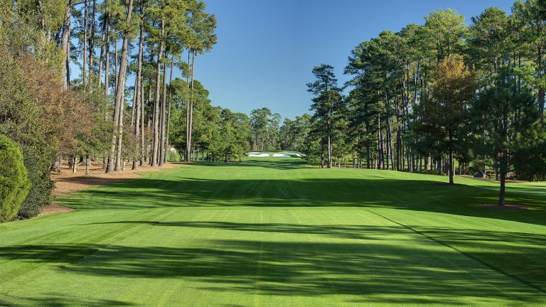Augusta National Golf Club Hole #8 Yellow Jasmine