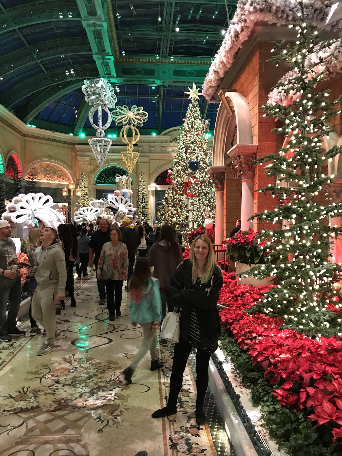 Chirstmas Tree at The Bellagio Conservatory