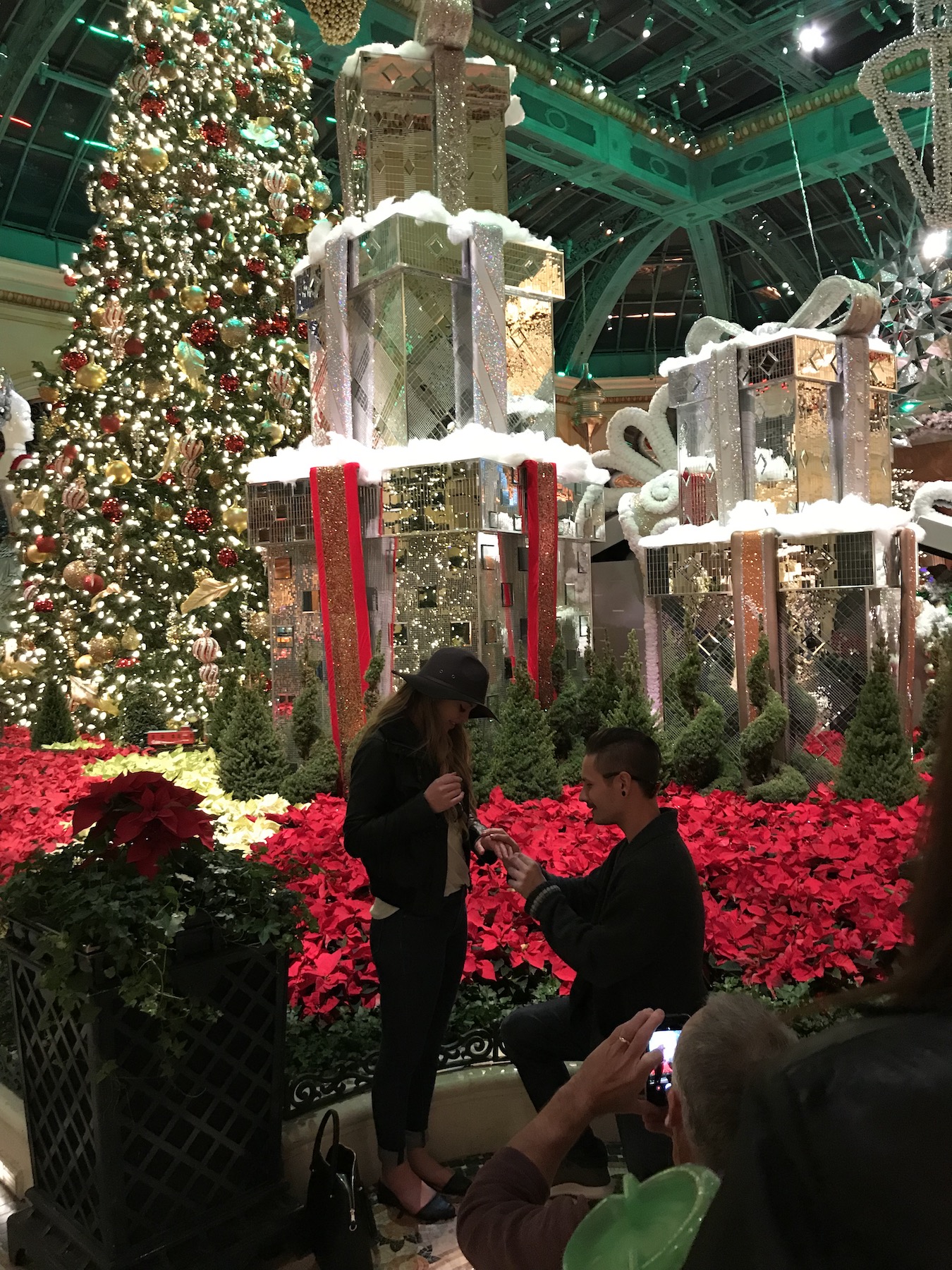 Someone proposing at The Bellagio Conservatory