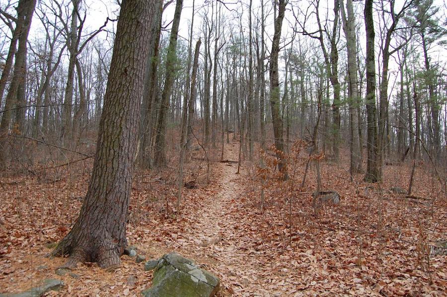 Big Round Top