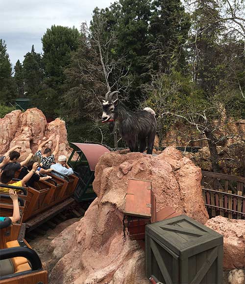 Big Thunder Mountain Railroad Goat