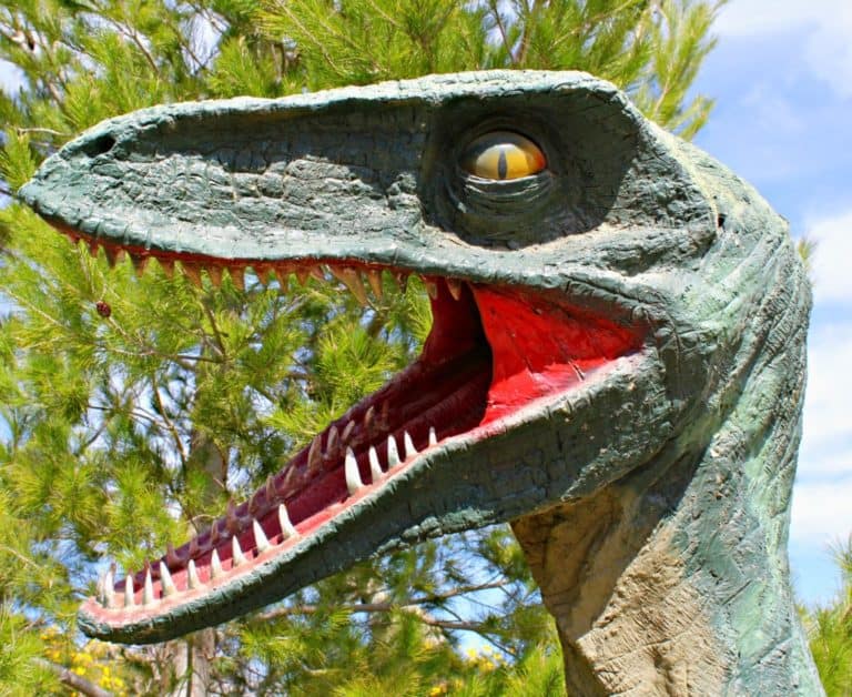 Cabazon Dinosaurs has over 50 Donosaurs