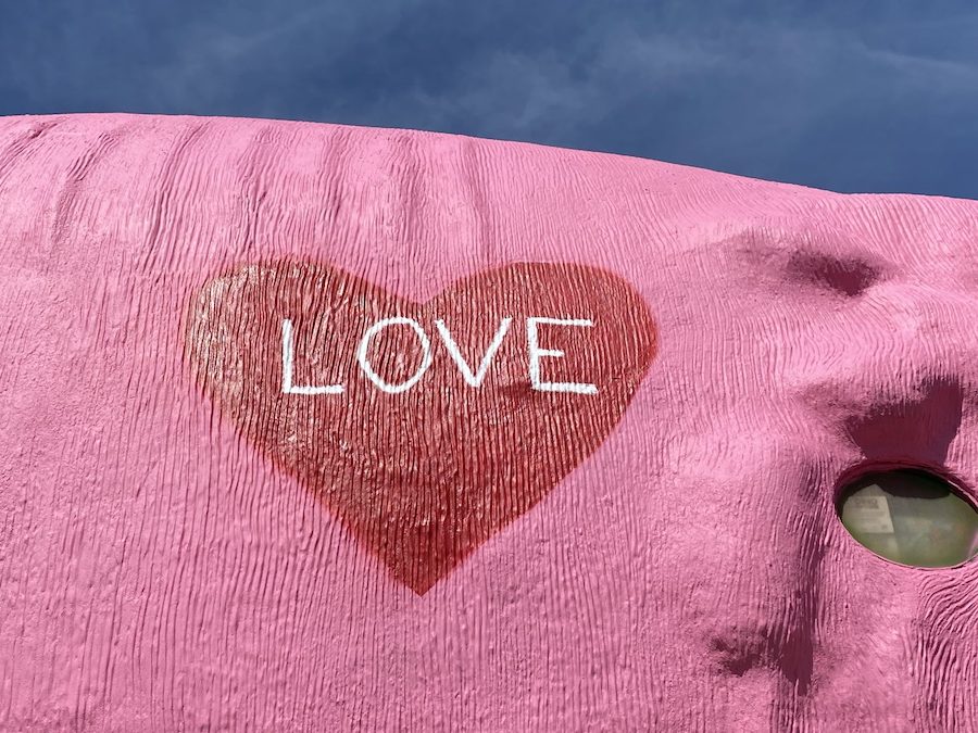 Cabazon Dinosaurs Painted for Valentines Day