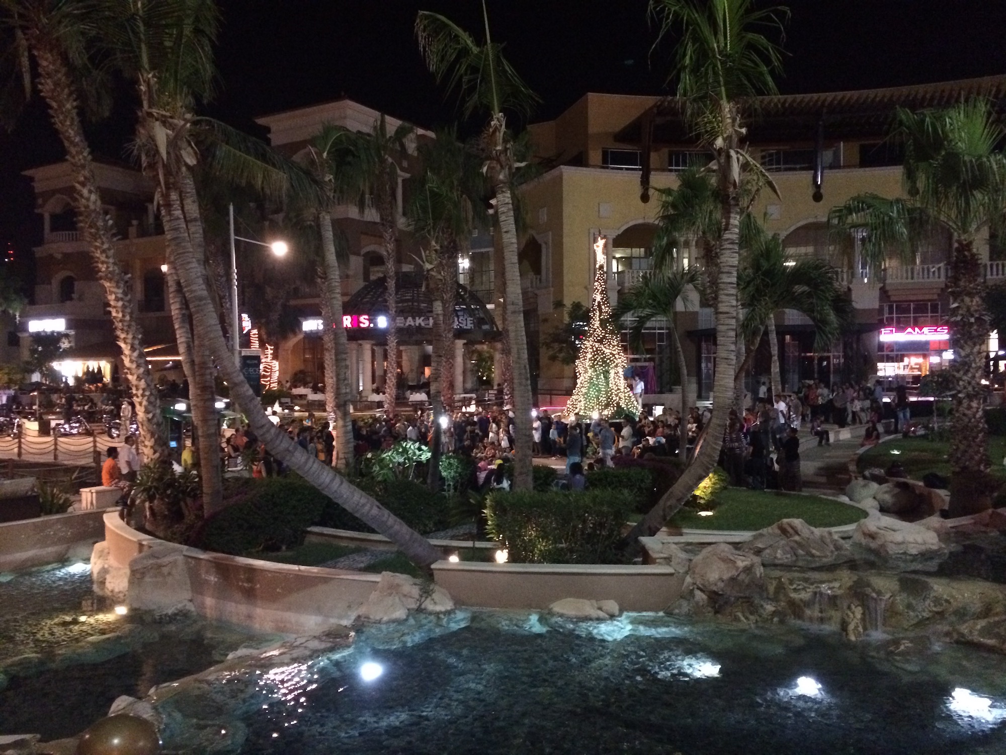 Cabo San Lucas Cristmas Tree Cabo San Lucas Cristmas Tree