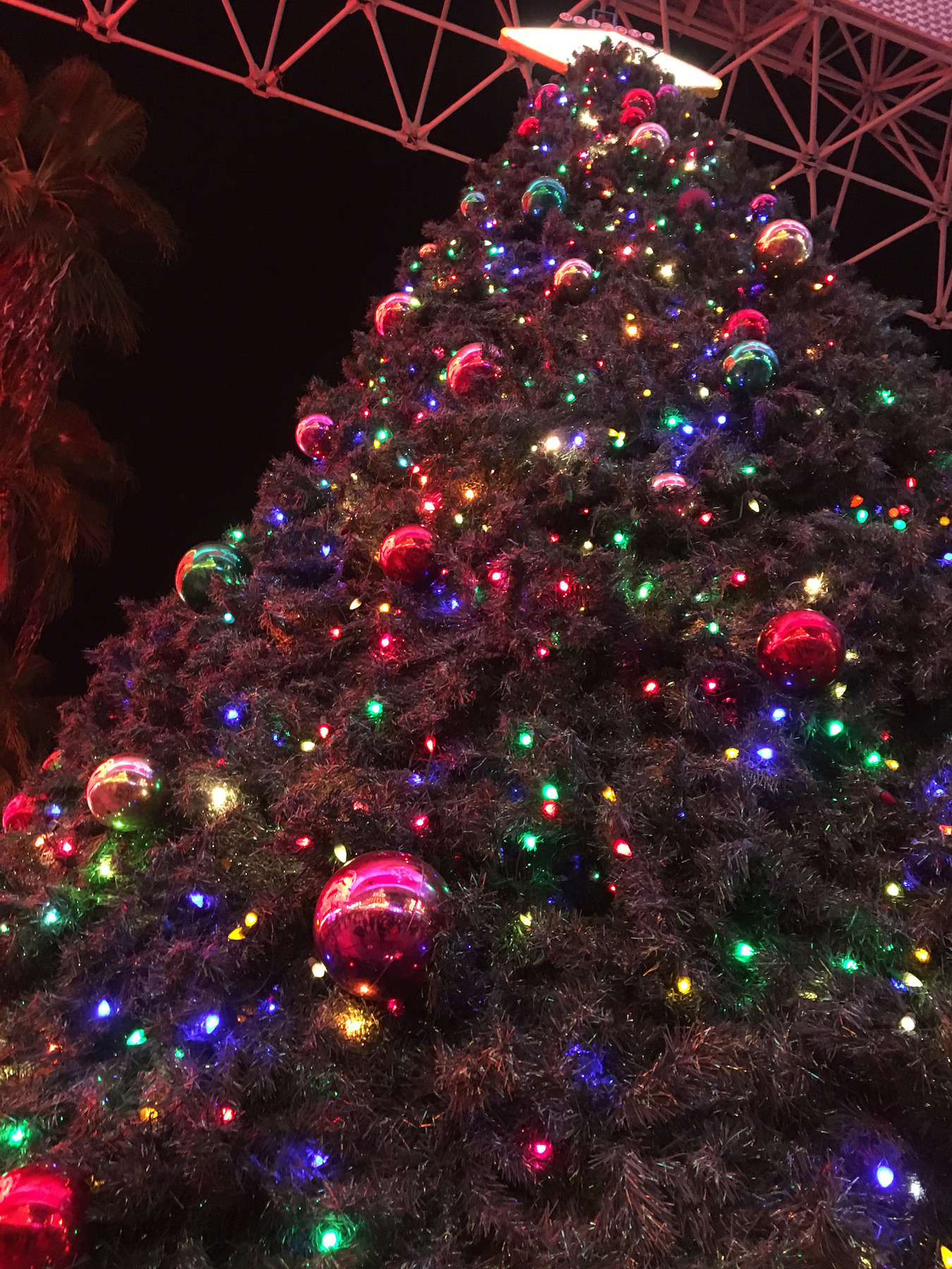 Christmas Tree in front of the Freemont Hotel and Casino