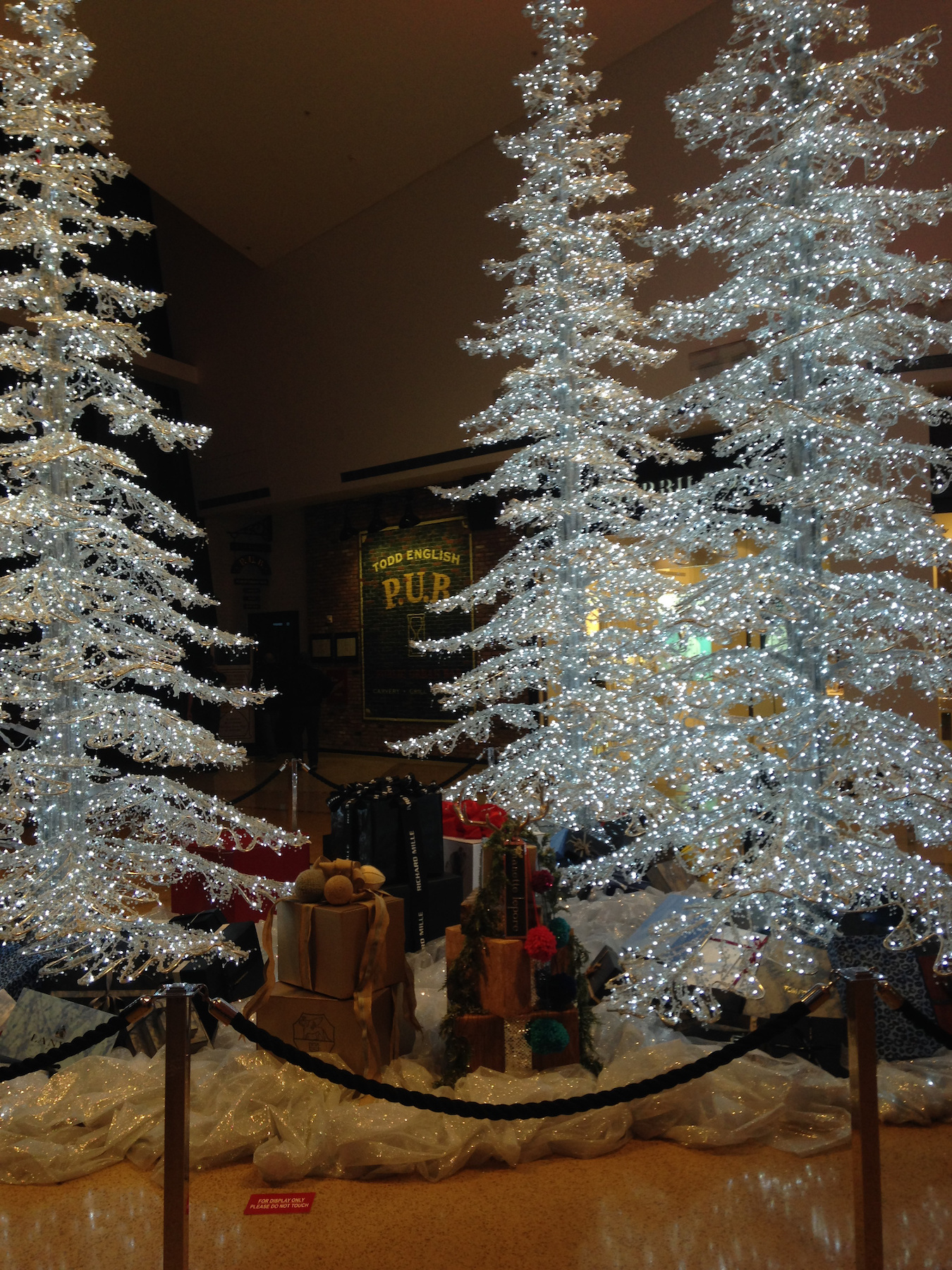 Christmas Tree in Front of Todd English Pub