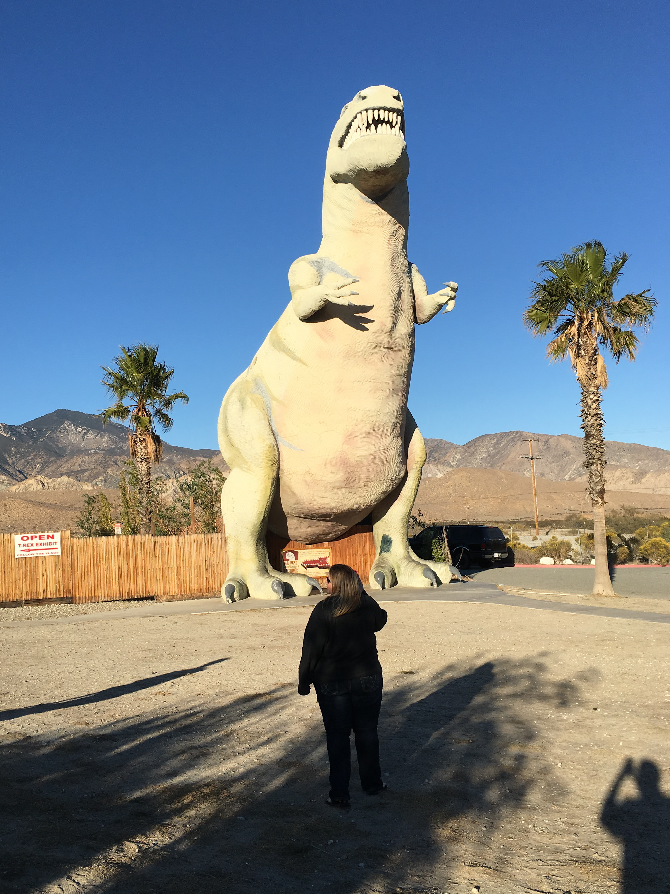 Cabazon Dinosaurs