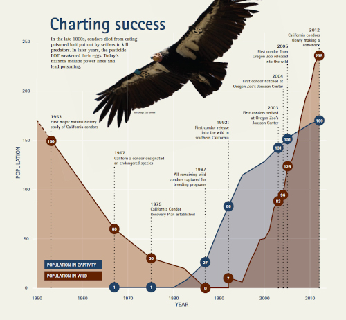Condor Ongoing Work