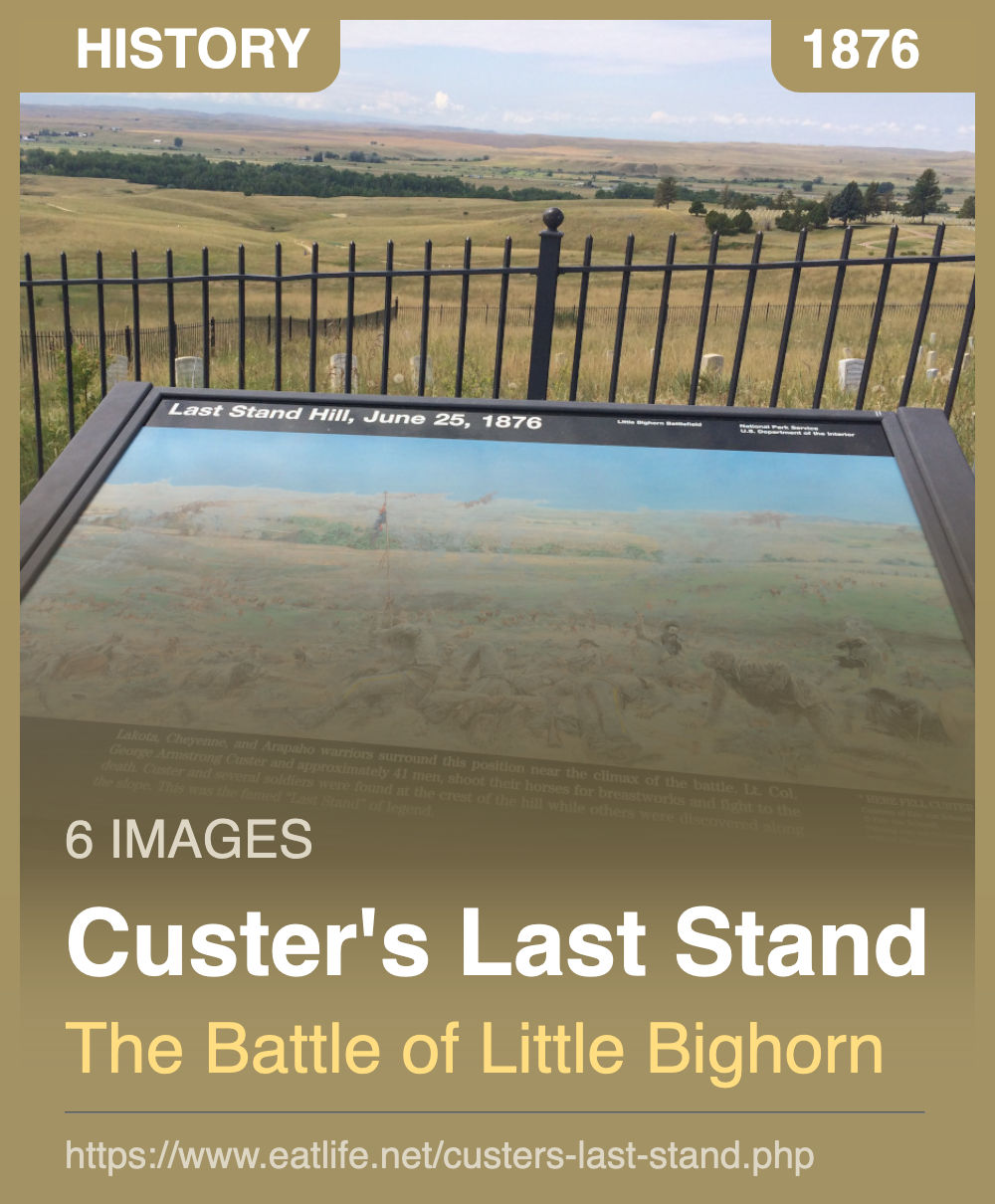 Custer's Last Stand