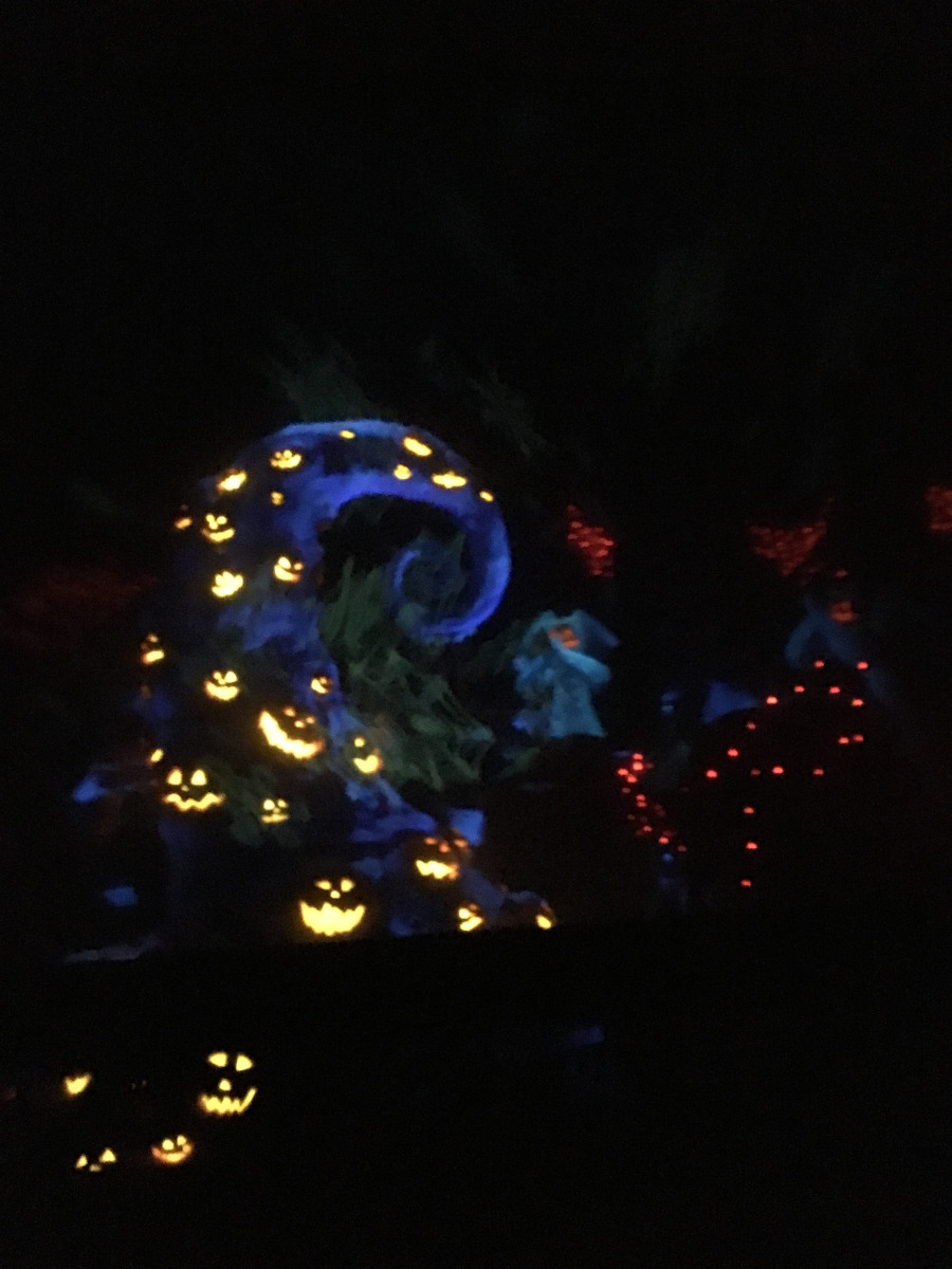 Haunted Masion Disneyland Scary Christmas