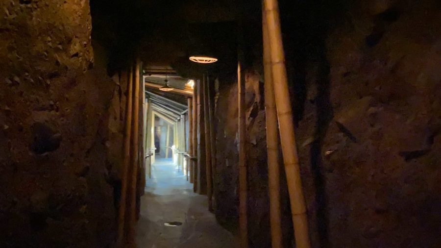 Indiana Jones Adventure Queue