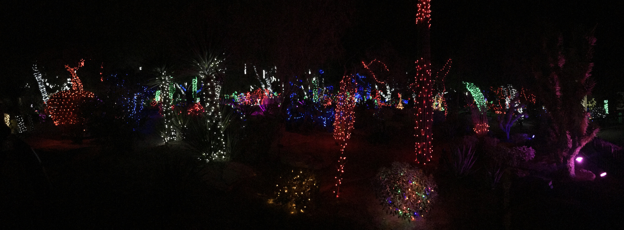 Ethel M Chocolates Christmas Cactus Garden