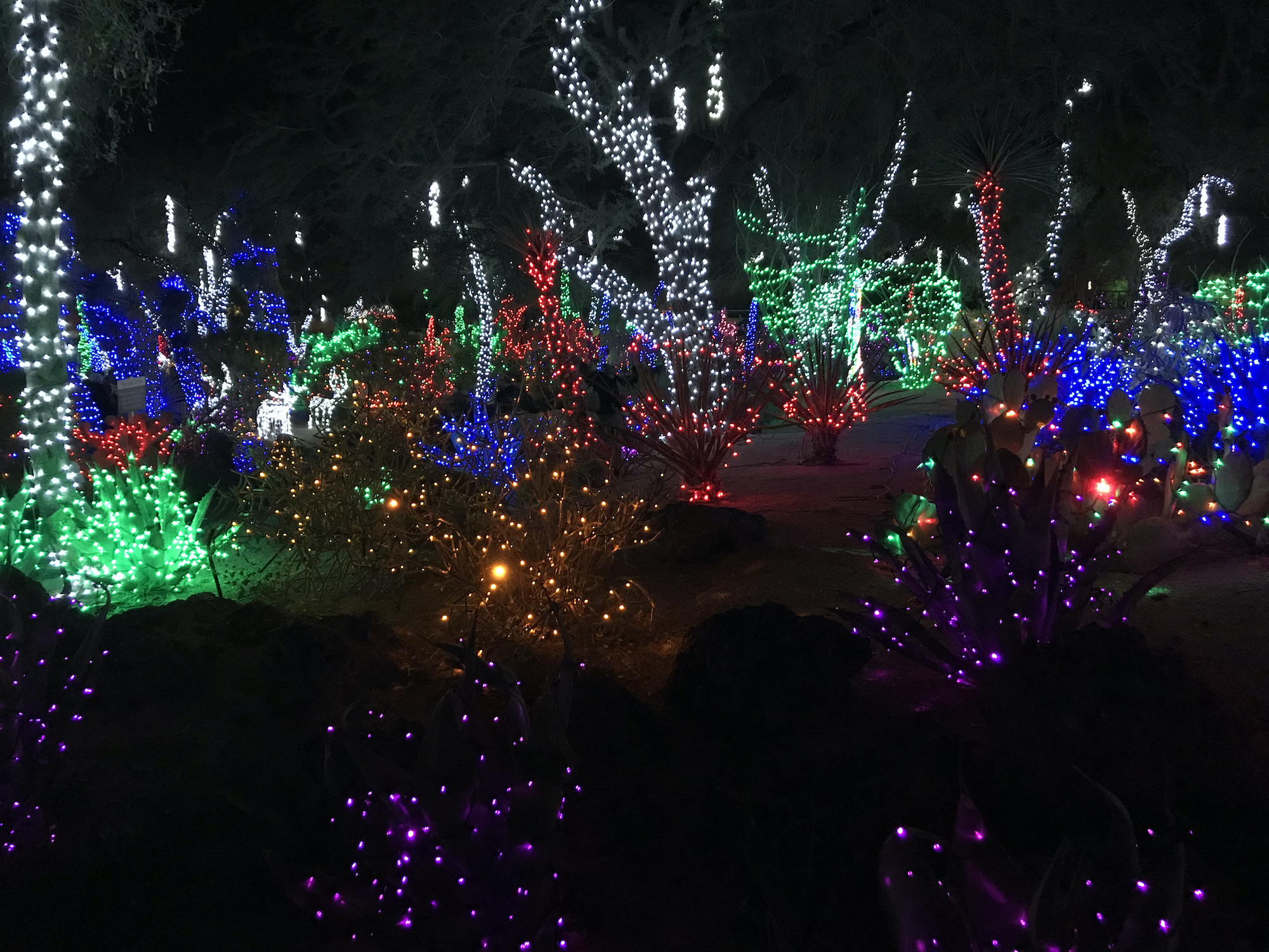 Ethel M Chocolates Christmas Cactus Garden