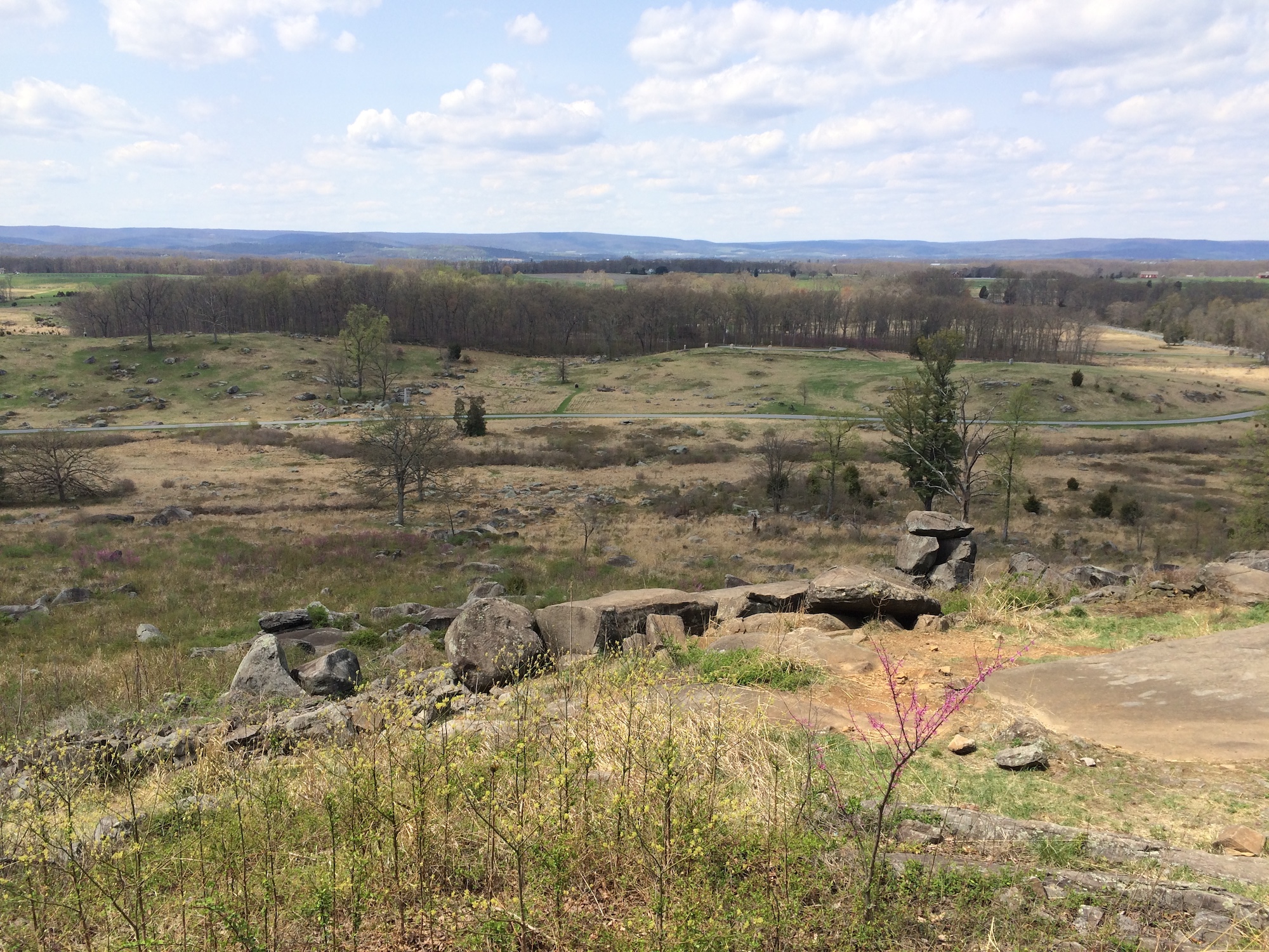 Little Round Top Looking west
