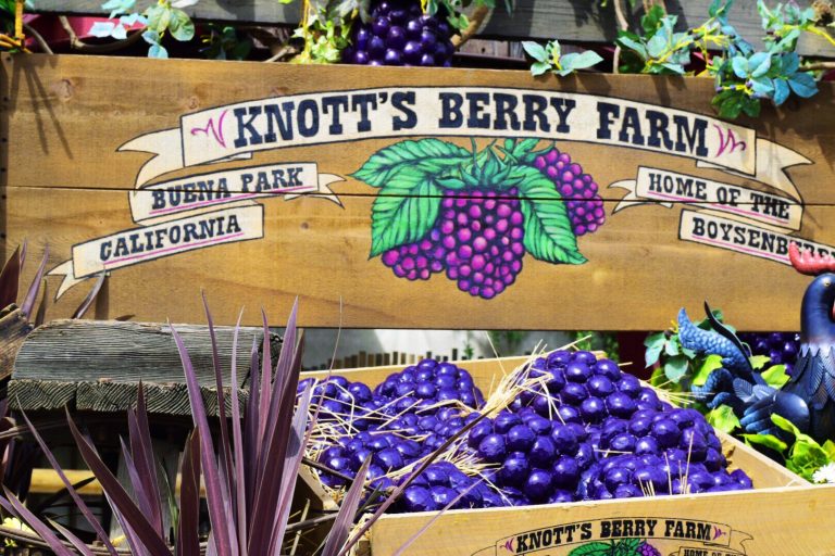 Knotts Berry Farm Home of the Boysenberry