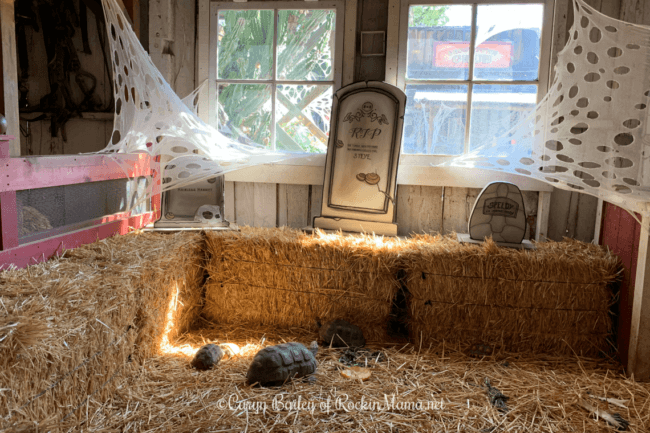 Knotts Spooky Farm Livery Stable