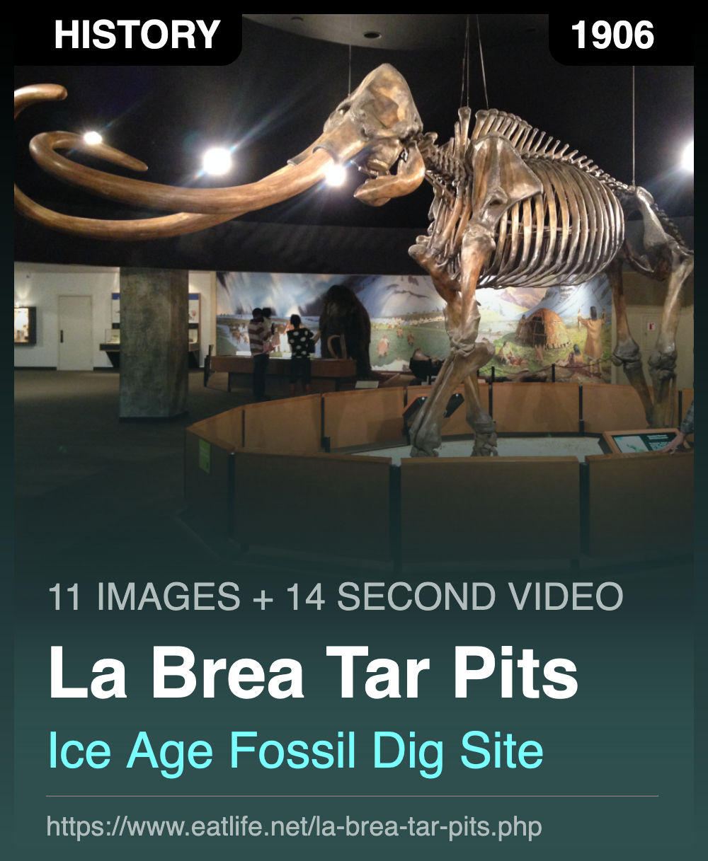 La Brea Tar Pits