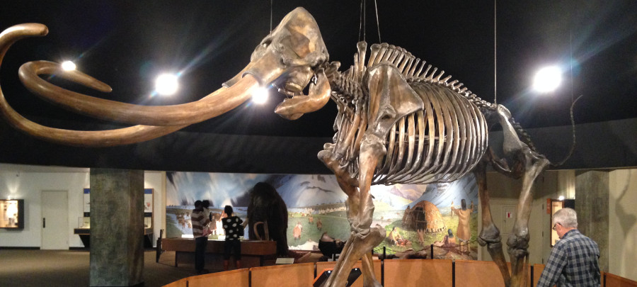 La Brea Tar Pits La Brea Tar Pits